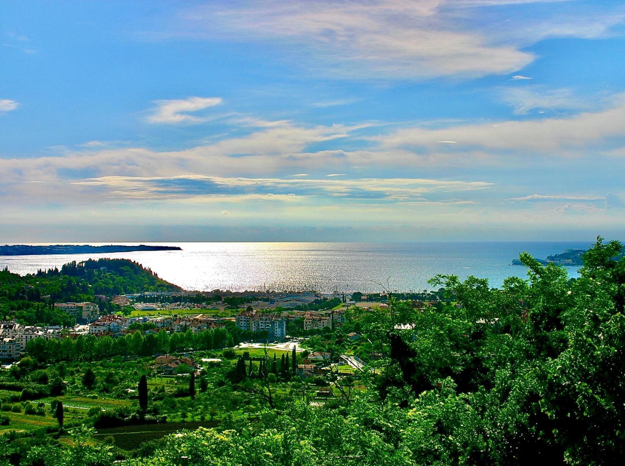 Sea View Olive Retreat Apartment Portoroz Bagian luar foto