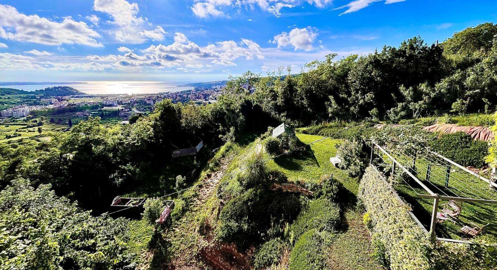 Sea View Olive Retreat Apartment Portoroz Bagian luar foto